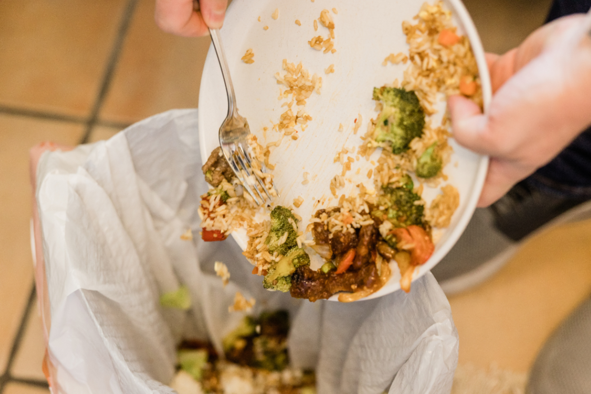 Frequent Grocery Waste – Plan Meals Around Existing Food