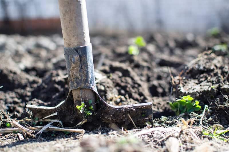 Rusty Garden Tools - Restore Metal and Prevent Corrosion